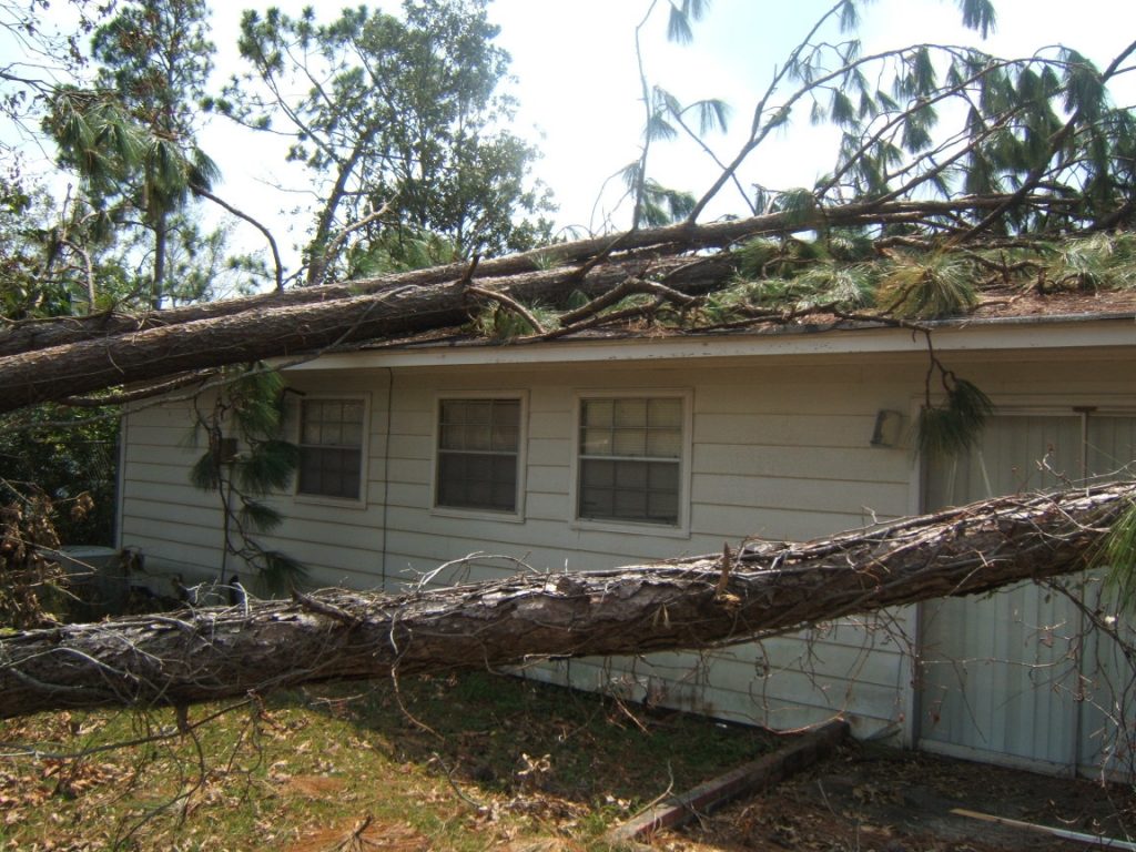 Tree fallen on house roof